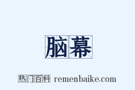脑幕是什么意思的图片